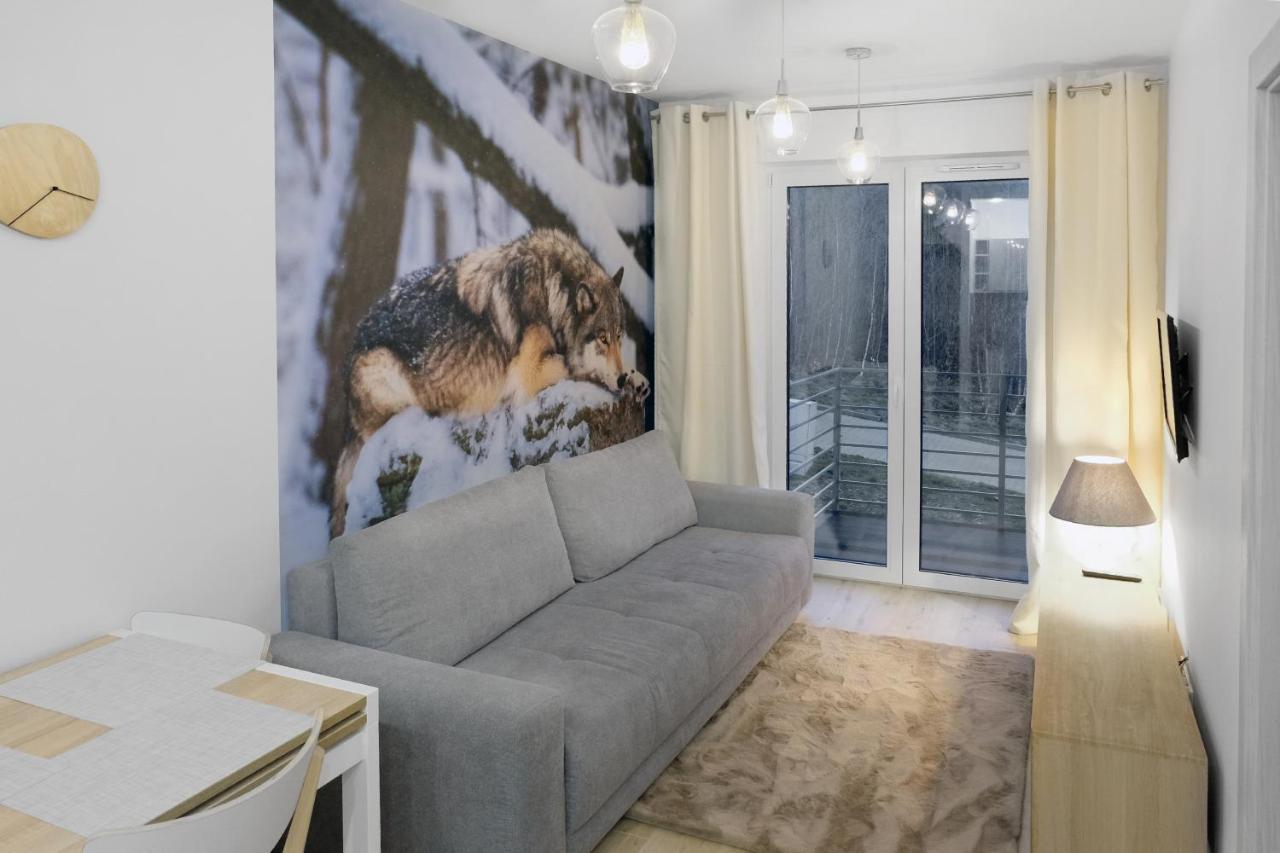 Apartament Szary Wilk Świeradów-Zdrój Exteriör bild